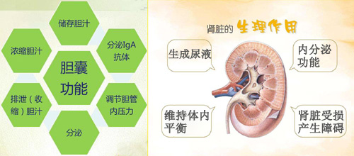 微创取石，保护器官功能，才是打结石的好方法(图4)